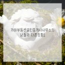 가야부동산공인중개사사무소 이미지