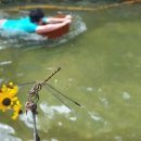 경남용추민박 이미지