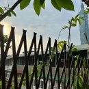 상산세탁소 이미지