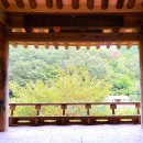 정중기 | 〈경북 영천시 - ‘일구일학(一丘一壑)’ 풍류의 삶을 산 - 영천 산수정(永川 山水亭) 〉