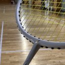 동탄 배드민턴장(나래울) 배드민턴장 이미지