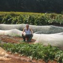 문상농장 이미지