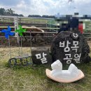 스텔라떡볶이제주아라점