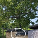 장고성집 이미지