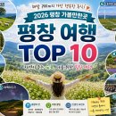 85. 강원도 평창 여행 추천! 꼭 가봐야 할 명소 TOP10 총정리
