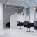 비그로브 비 이미지