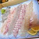 삼일수산 - 영암군 | 삼일수산