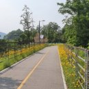 남한강자전거길 19 이미지