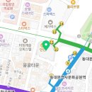 아프리카안경 던던동대문점 이미지