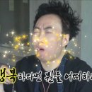 욜로(YOLO) 이미지
