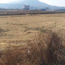 보성부동산공인중개사사무소 이미지