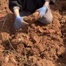 해찬농장 이미지