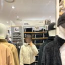 조일크리닝 | [쇼핑/후기] 유니클로 퍼프테크파카/PUFFTECH파카 사이즈 색상별 착용후기_유니클로경량패딩추천