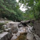 고송민박 이미지