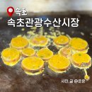 속초관광수산시장(구 속초중앙전통시장) | 속초관광수산시장 구 중앙시장 주차장 닭강정 영업시간 킹크랩