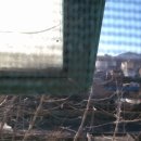 서림동-34 이미지