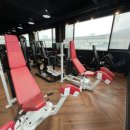 뷰티풀 몬스터 이미지