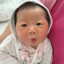 정부지원 울산 산후도우미 이모님 추천 “사임당”