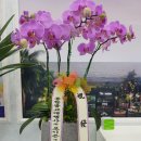 머메이드시티(주) 이미지