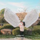 제주애월놀거리 가족 야간명소로 좋은 제주불빛정원