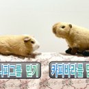 대경사 이미지