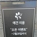 애견카페 제니콩콩 이미지