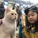 서아의 주말이야기 이미지