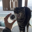 소뿌미 이미지