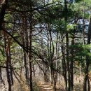 성곡보건진료소 이미지