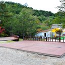 자일랜드 이미지