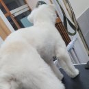 깍고밀고이발 이미지