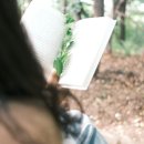 정화세탁소 이미지