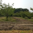 개운농장 이미지