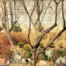 시립 한빛마을4단지어린이집 이미지