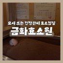 짝꿍제주점 | 제주 '금화효소원 제주점', 찜질끝판왕 효소찜질 추천 후기
