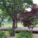 수목화 송정마을 오토캠핑장 이미지