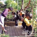 화랑초등학교 이미지