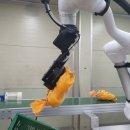 경상북도AI센타 이미지