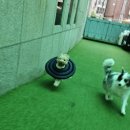 이룸독트레이닝 이미지