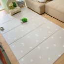 메트로펫 이미지