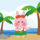 대구/달서구] 바사카다