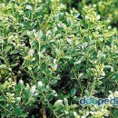 자연동산어린이집 이미지