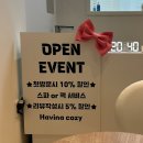 하비나 코지 이미지