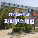 양영초등학교 이미지