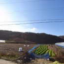 충남부동산공인중개사 이미지