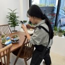 프롬에덴 이미지