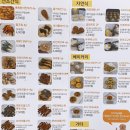 펫잇보리 이미지