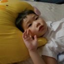 어린이방 밀로앤개비 동물베개 아리로 예쁘게 꾸미기