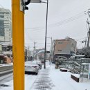 양림동 행정복지센터 이미지