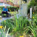 초록공원약수터 이미지